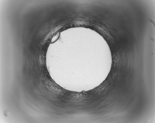 X0000100191207200806271610