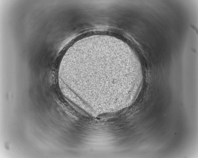 X0000100191208200806271610