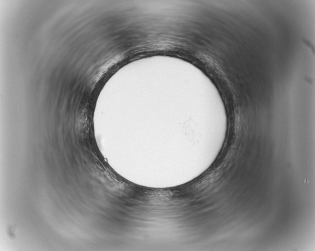 X0000100191210200806271610