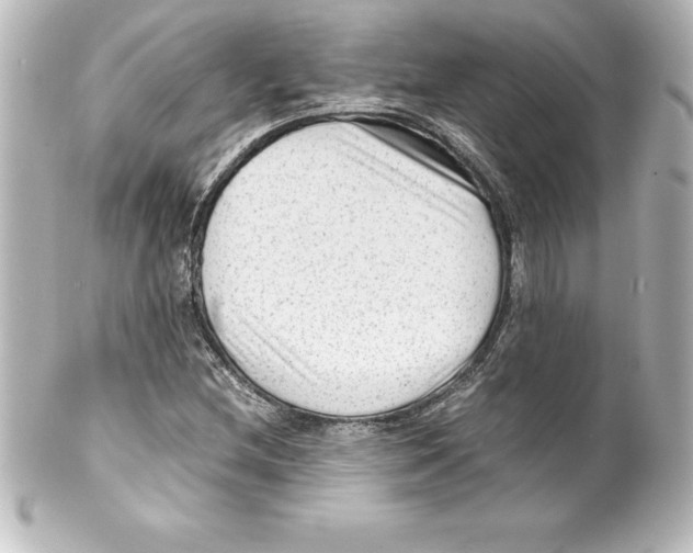 X0000100191212200806271610