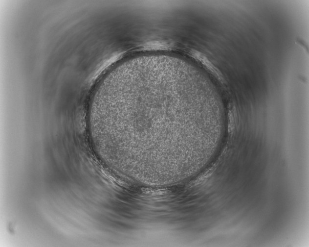X0000100191213200806271610