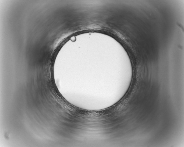X0000100191214200806271610