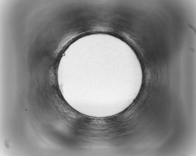X0000100191215200806271610