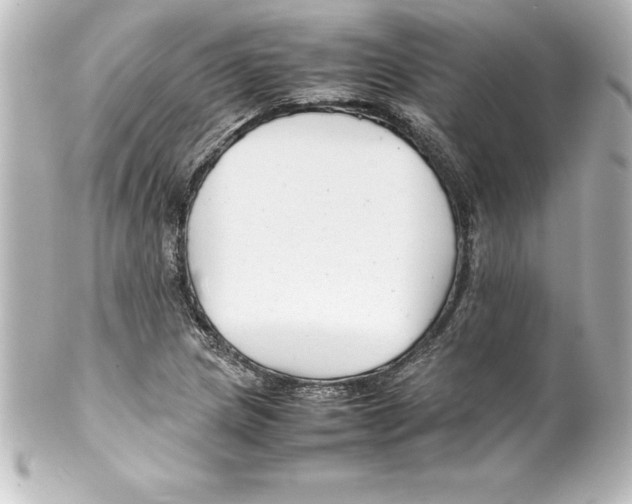 X0000100191217200806271610