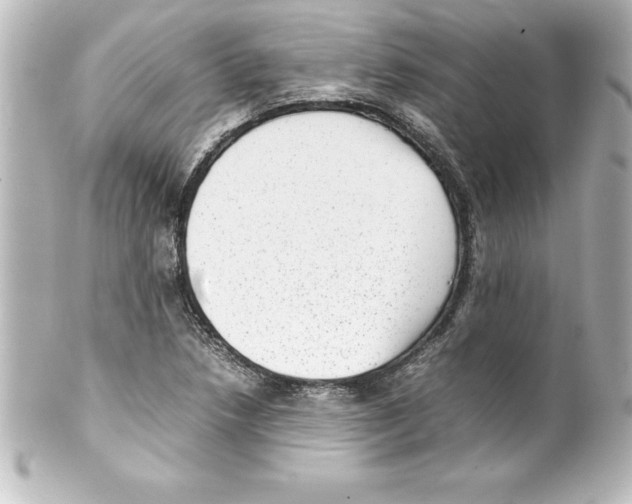 X0000100191218200806271610