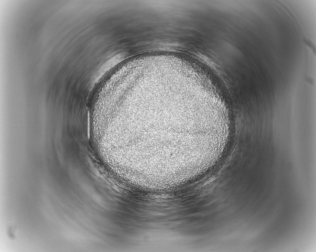 X0000100191219200806271611