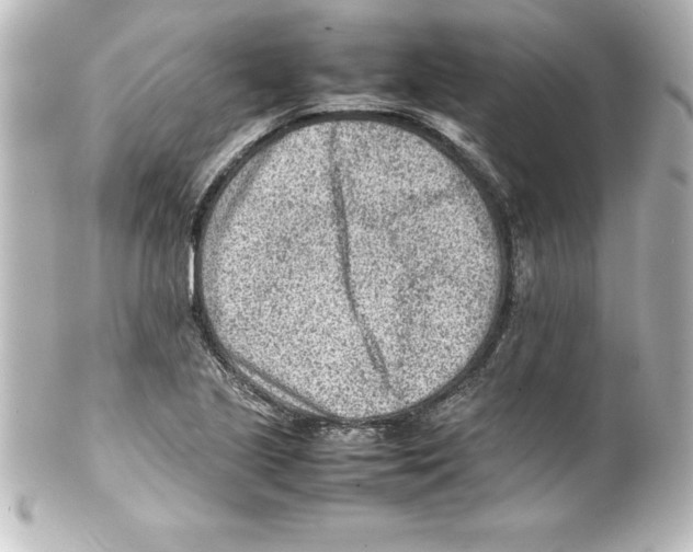 X0000100191221200806271611