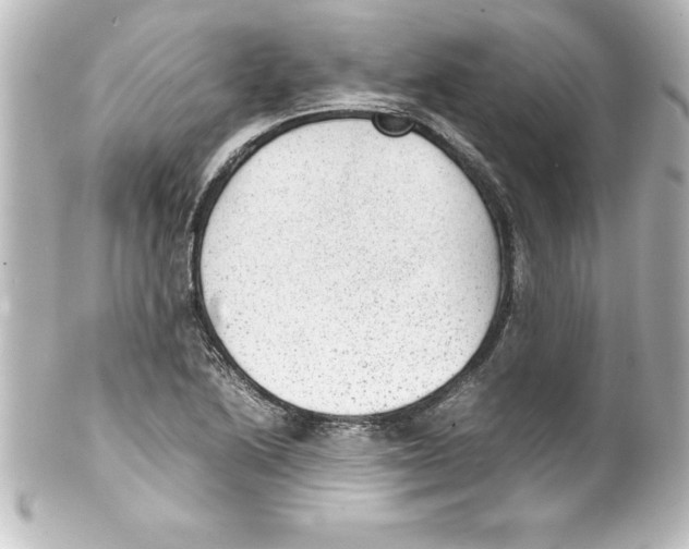 X0000100191222200806271611