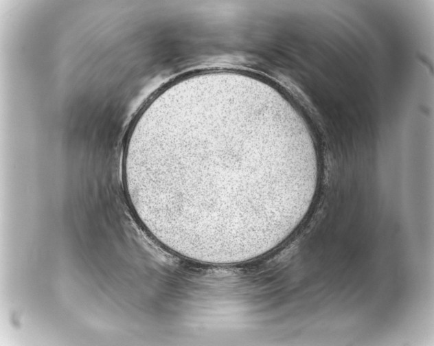 X0000100191224200806271611