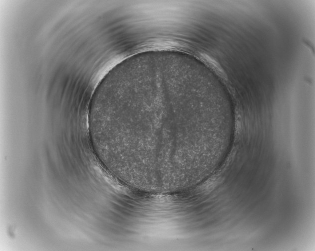 X0000100191226200806271611