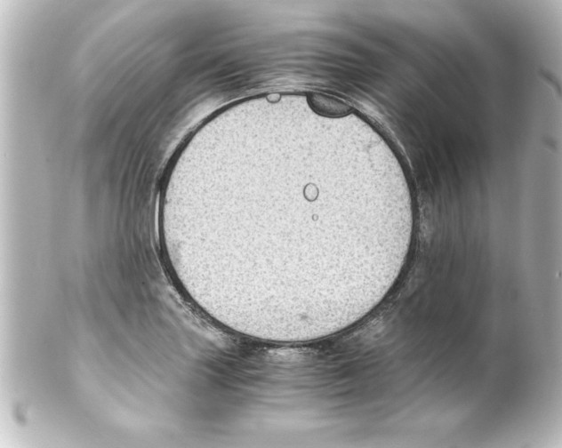 X0000100191227200806271611
