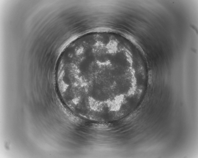X0000100191229200806271611