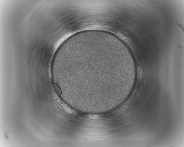 X0000100191230200806271611