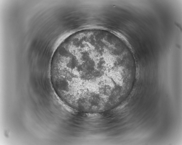 X0000100191231200806271611