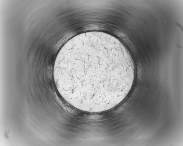 X0000100191233200806271611