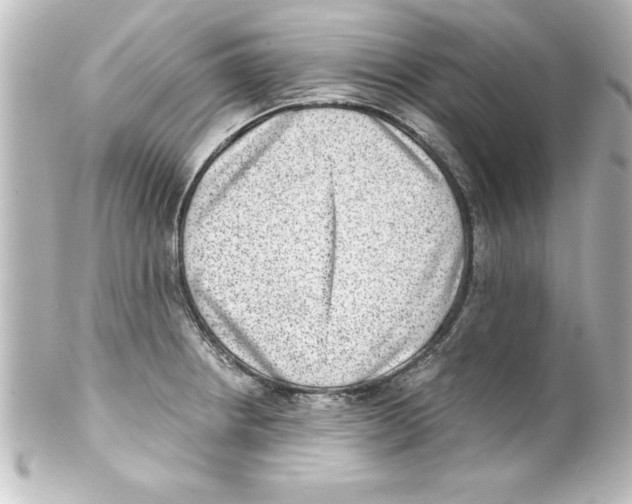 X0000100191234200806271611