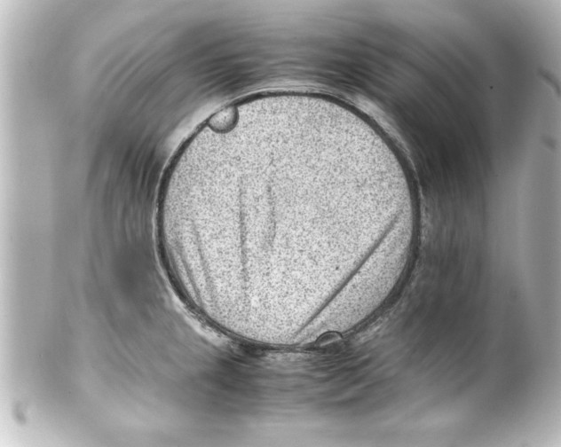 X0000100191237200806271611