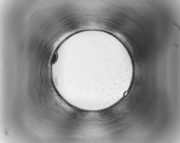 X0000100191238200806271611
