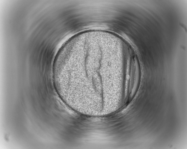 X0000100191240200806271611