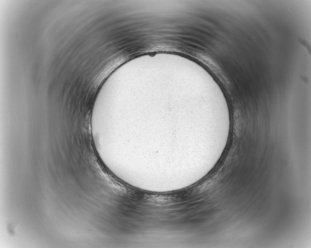 X0000100191241200806271611