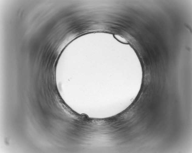 X0000100191242200806271611