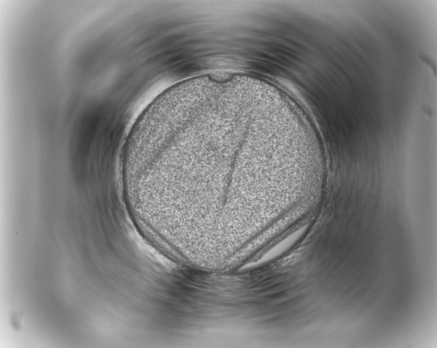 X0000100191243200806271611
