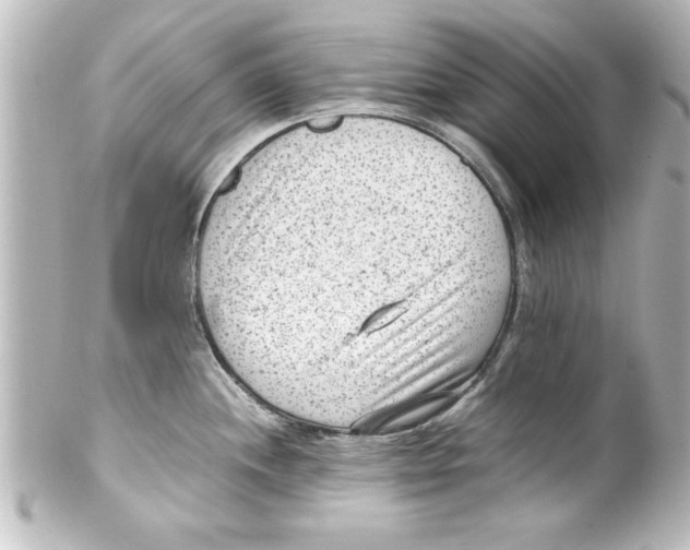 X0000100191244200806271611
