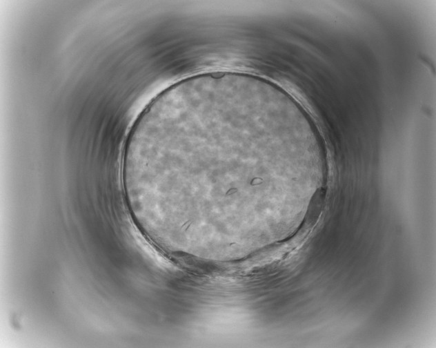 X0000100191246200806271611