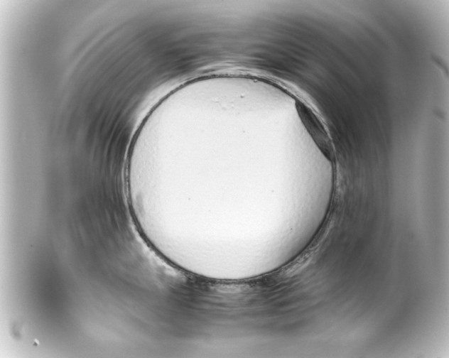 X0000100191247200806271611