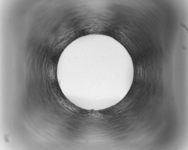 X0000100191250200806271610