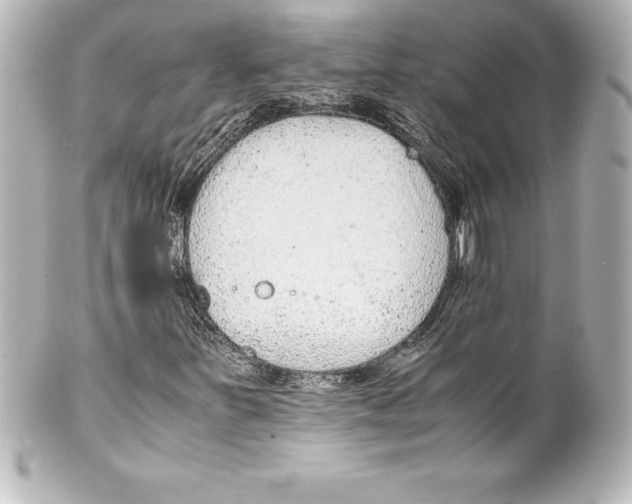 X0000100191251200806271610