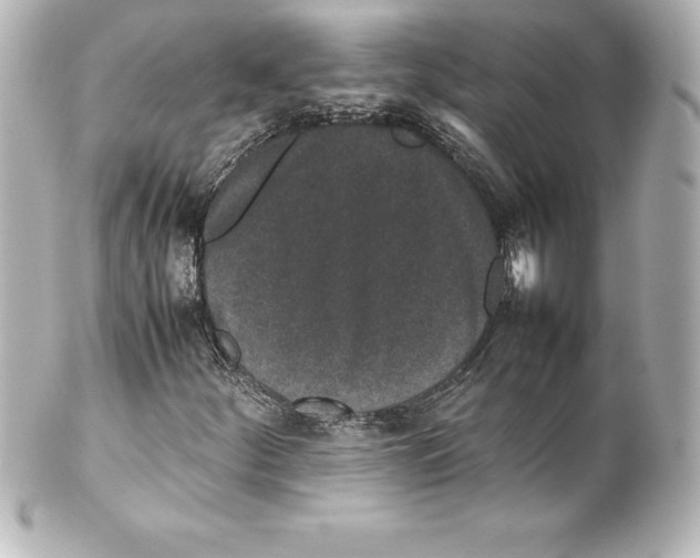 X0000100191252200806271610