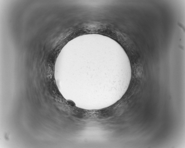 X0000100191253200806271610