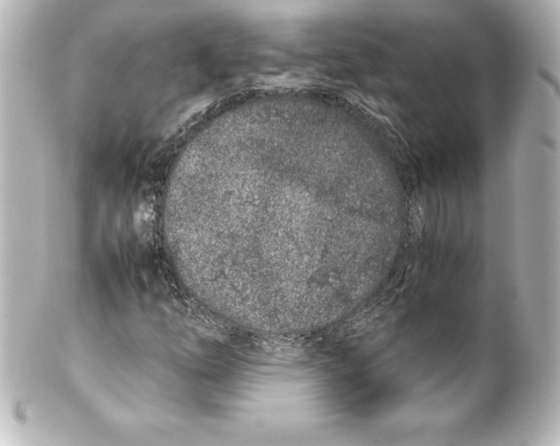 X0000100191254200806271610