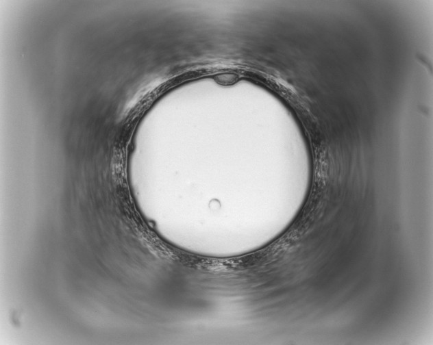 X0000100191255200806271610