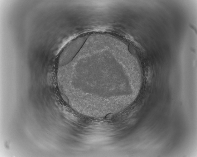 X0000100191256200806271610