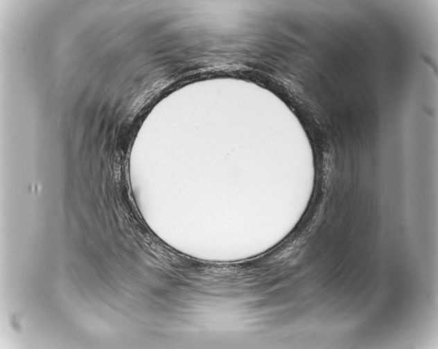 X0000100191257200806271610