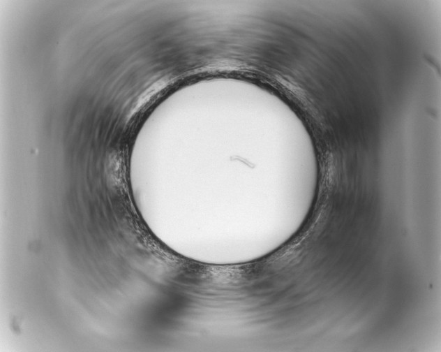 X0000100191258200806271610
