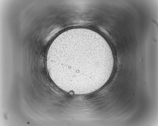 X0000100191259200806271610