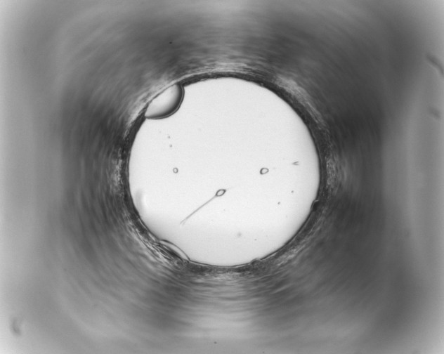 X0000100191260200806271610
