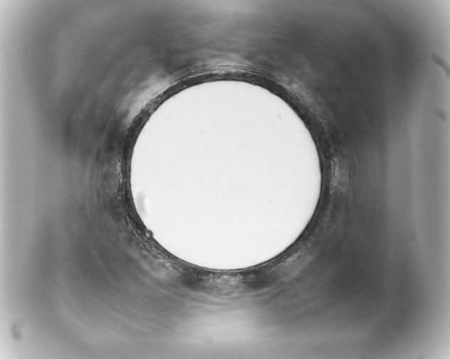 X0000100191261200806271610