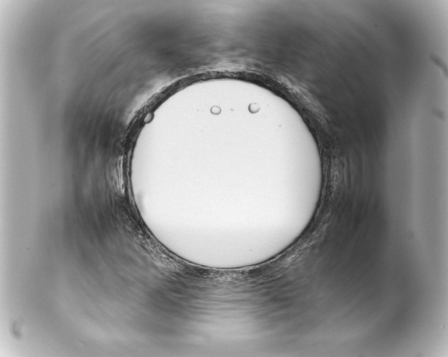 X0000100191262200806271610