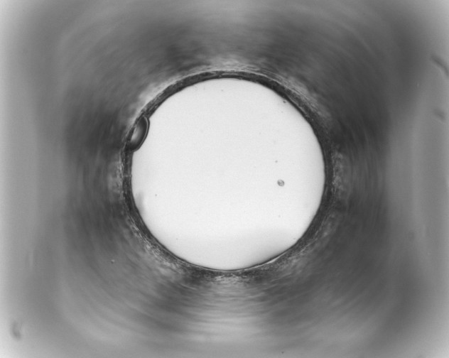 X0000100191264200806271610