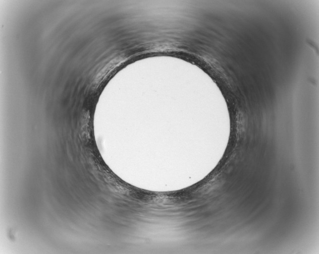X0000100191265200806271610