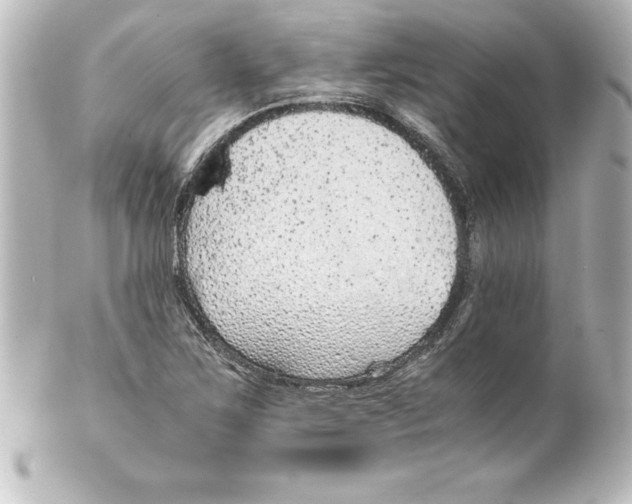 X0000100191267200806271610