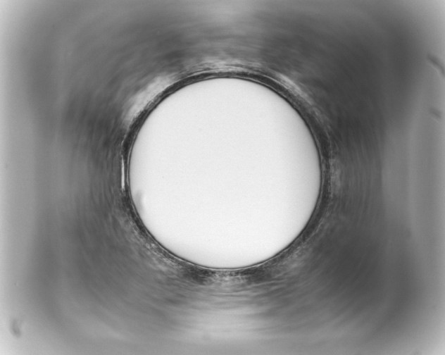 X0000100191269200806271610