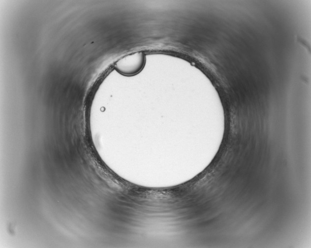 X0000100191270200806271610
