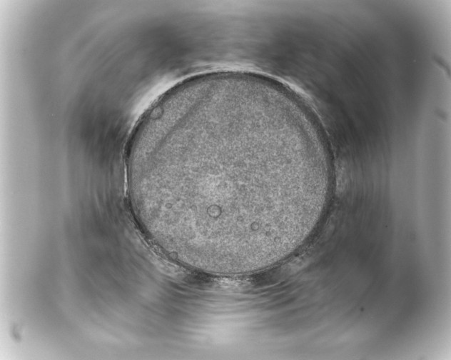 X0000100191271200806271610