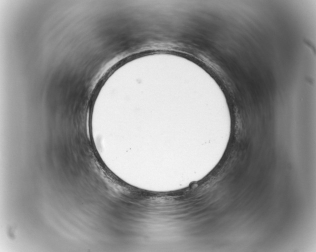 X0000100191272200806271610