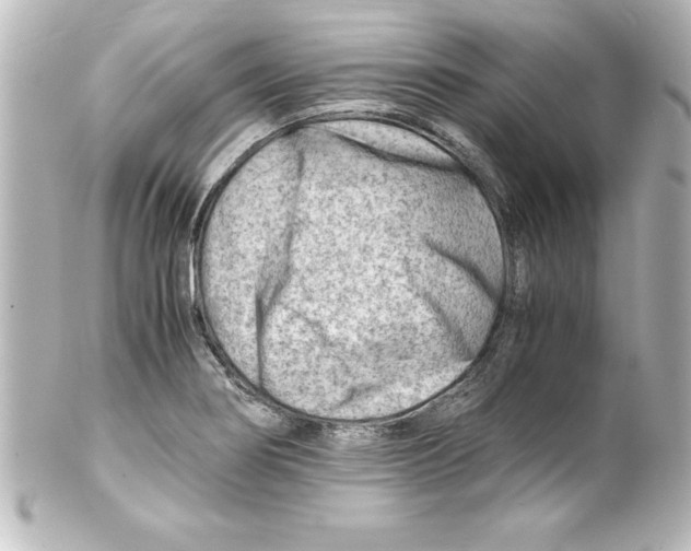 X0000100191274200806271610